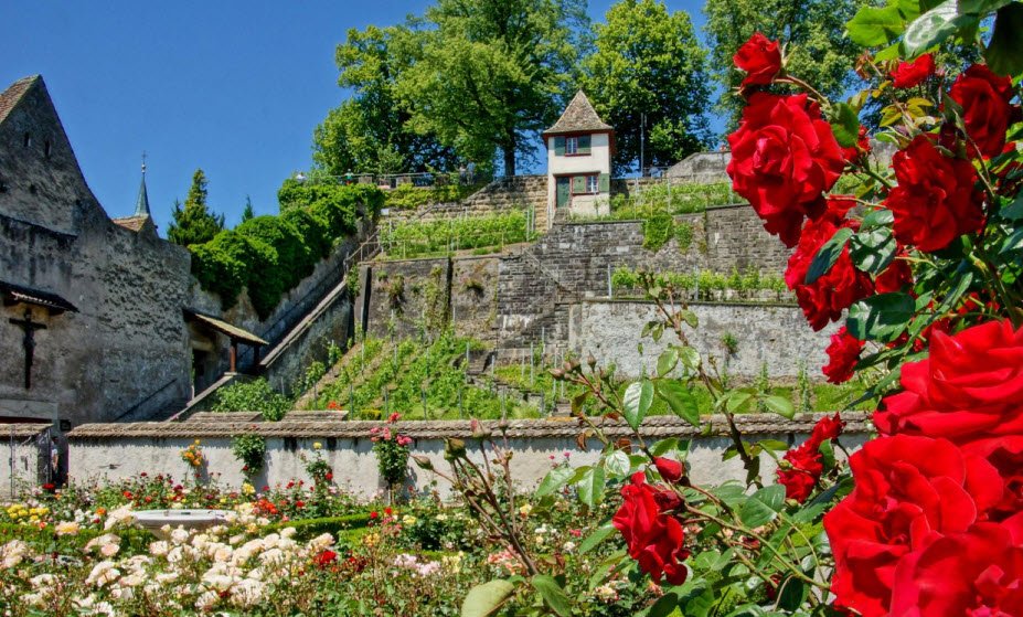 Rapperswil Castle &amp; Rose Gardens, Rapperswil-Jona, Zurich, Switzerland